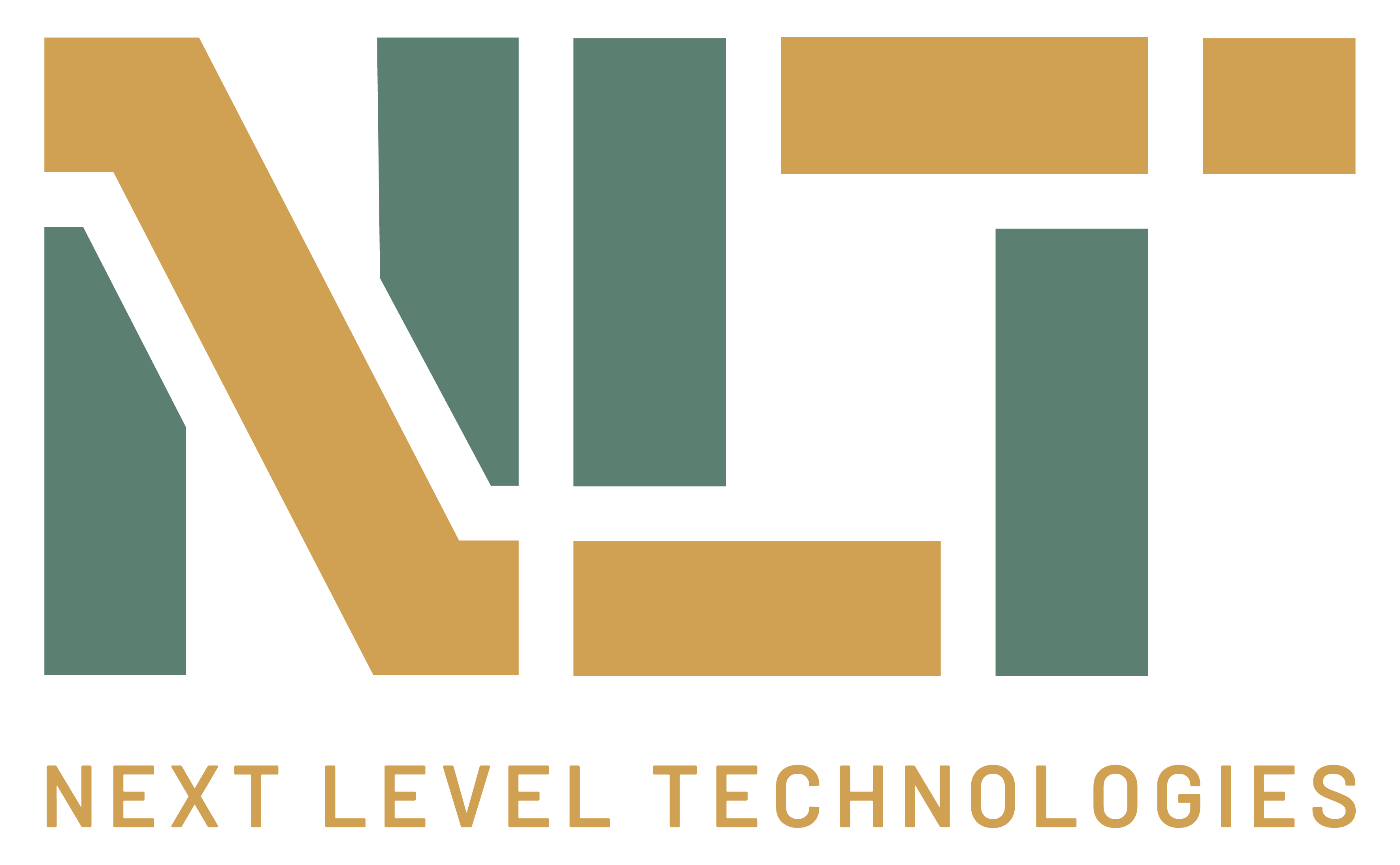 Next Level Technologies